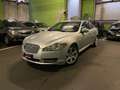 Jaguar XF XF I 2008 Berlina Argento - thumbnail 8