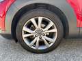 Mazda CX-30 G122 AWD Comfort+/SO/ST/PR/TE Rot - thumbnail 7