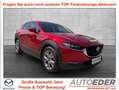 Mazda CX-30 G122 AWD Comfort+/SO/ST/PR/TE Rot - thumbnail 1