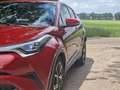 Toyota C-HR 1.8 Hybrid Executive | 24mnd Garantie | Incl. Beur Rouge - thumbnail 7