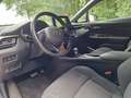 Toyota C-HR 1.8 Hybrid Executive | 24mnd Garantie | Incl. Beur Rouge - thumbnail 31