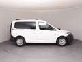 Volkswagen Caddy Family TDI Weiß - thumbnail 27