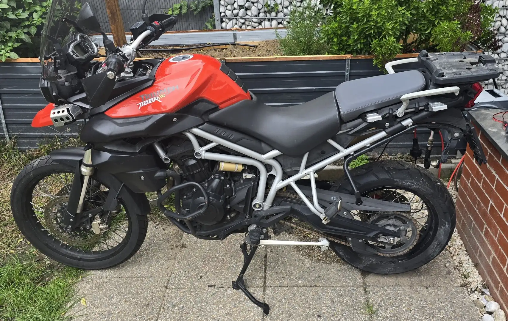 Triumph Tiger 800 XC Rot - 1