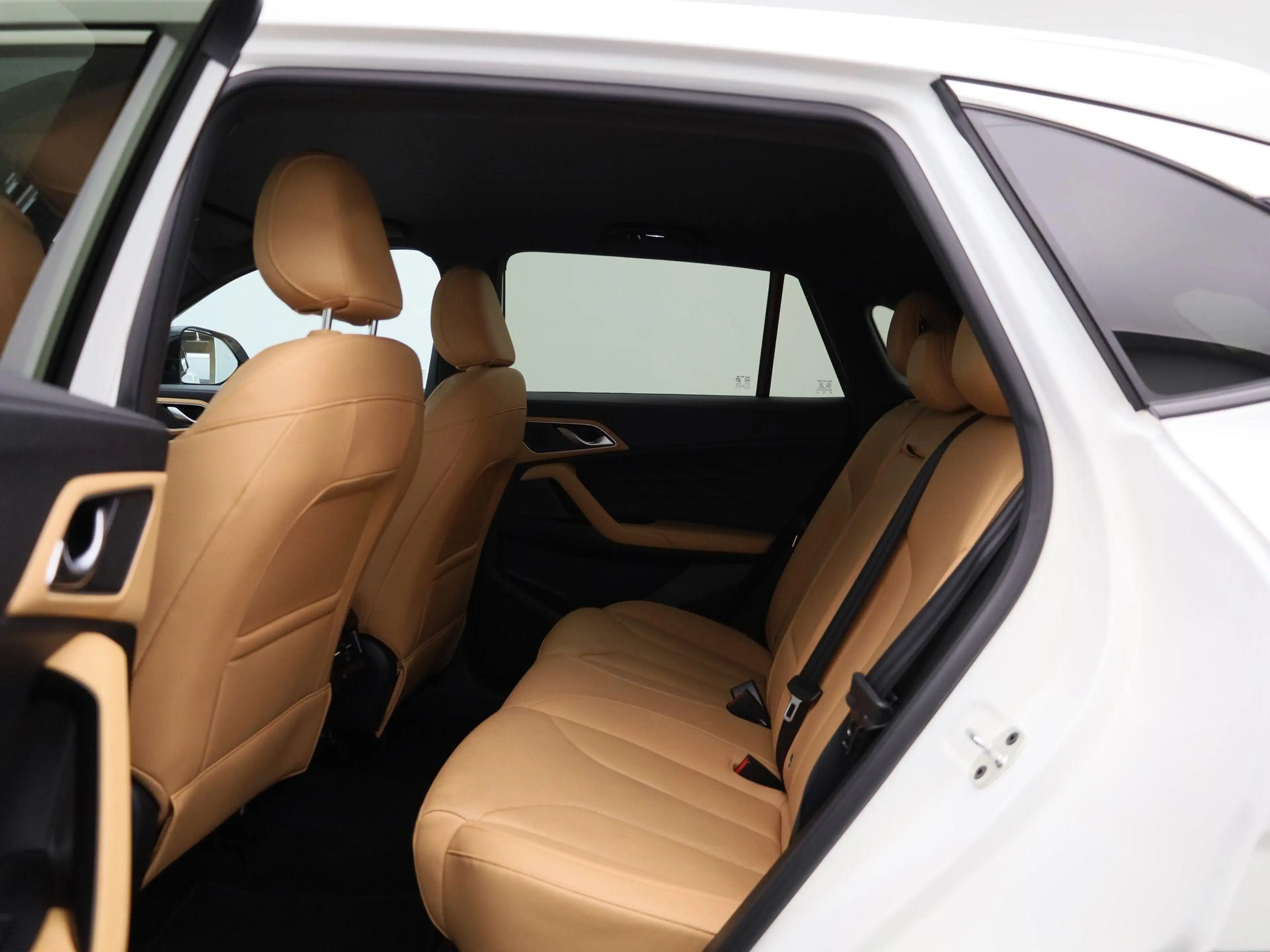 MG HS MG PHEV 1.5 Luxury — photo 10