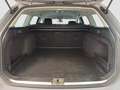 Volkswagen Passat Variant Business TDI DSG Grau - thumbnail 16