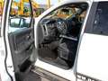 Dodge RAM 1500 Classic LPG 4x4 Blanc - thumbnail 8