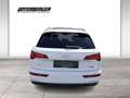 Audi Q5 40TDI quattro S-line S-tronic Weiß - thumbnail 5