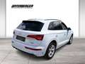 Audi Q5 40TDI quattro S-line S-tronic Weiß - thumbnail 6