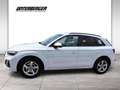 Audi Q5 40TDI quattro S-line S-tronic Weiß - thumbnail 3