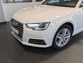 Audi A4 1.4 TSI  Aut.*Navi*Xenon*Tempomat*Alu Blanco - thumbnail 5