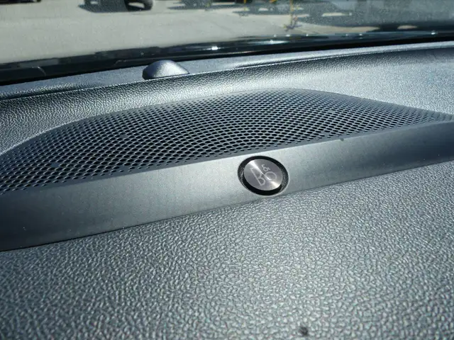 Ford Focus view 13