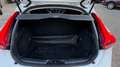 Volvo V40 Kinetic Wit - thumbnail 18