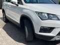 SEAT Ateca 1.0 TSI S&S Style Blanco - thumbnail 3