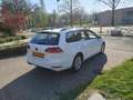 Volkswagen Golf Variant 1.0 TSI Navi, Ad Cruise, Climate, Camera, PDC Blanc - thumbnail 5