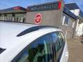 Volkswagen Golf Variant 1.0 TSI Navi, Ad Cruise, Climate, Camera, PDC Blanc - thumbnail 11