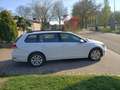 Volkswagen Golf Variant 1.0 TSI Navi, Ad Cruise, Climate, Camera, PDC Blanc - thumbnail 4