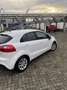 Kia Rio 1.2 CVVT Super Pack Wit - thumbnail 3
