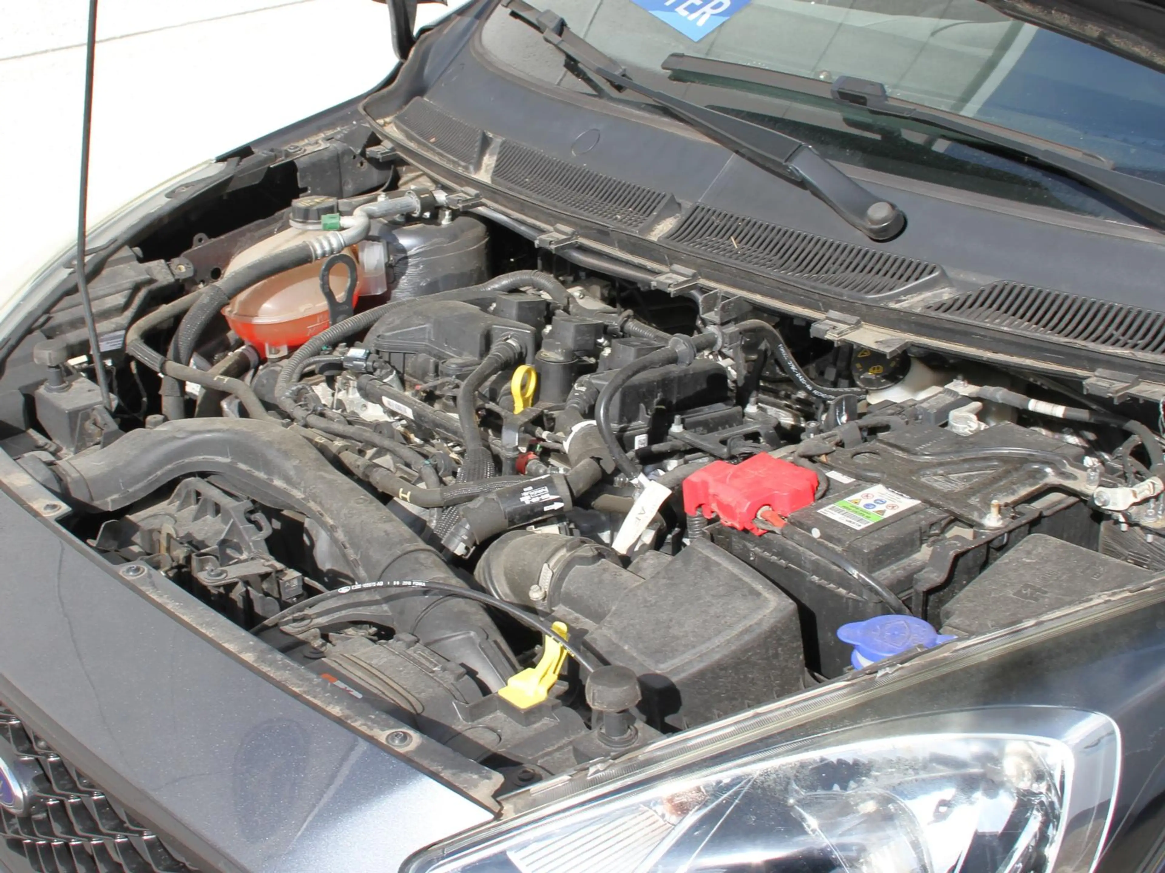 Ford Ka/Ka+ + 1.2 Ti-VCT Active SYNC 3 Winter-Paket — photo 15