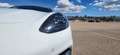 Porsche Panamera 4 Aut. Blanco - thumbnail 9