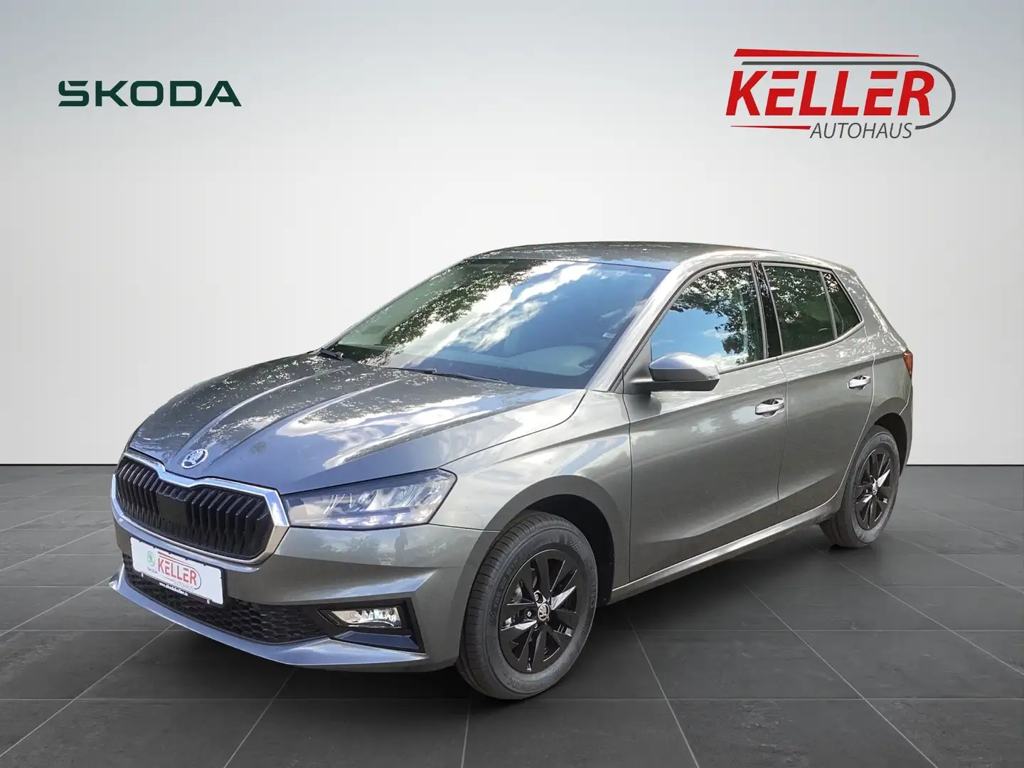 Skoda Fabia Selection 1,0 TSI 70 kW 5-Gang mech. Gris - 1