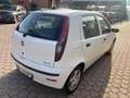 Fiat Punto 5p 1.2 natural power Classic bombola 09/2027 Bianco - thumbnail 5