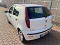 Fiat Punto 5p 1.2 natural power Classic bombola 09/2027 Bianco - thumbnail 4