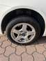 Fiat Punto 5p 1.2 natural power Classic bombola 09/2027 Bianco - thumbnail 8