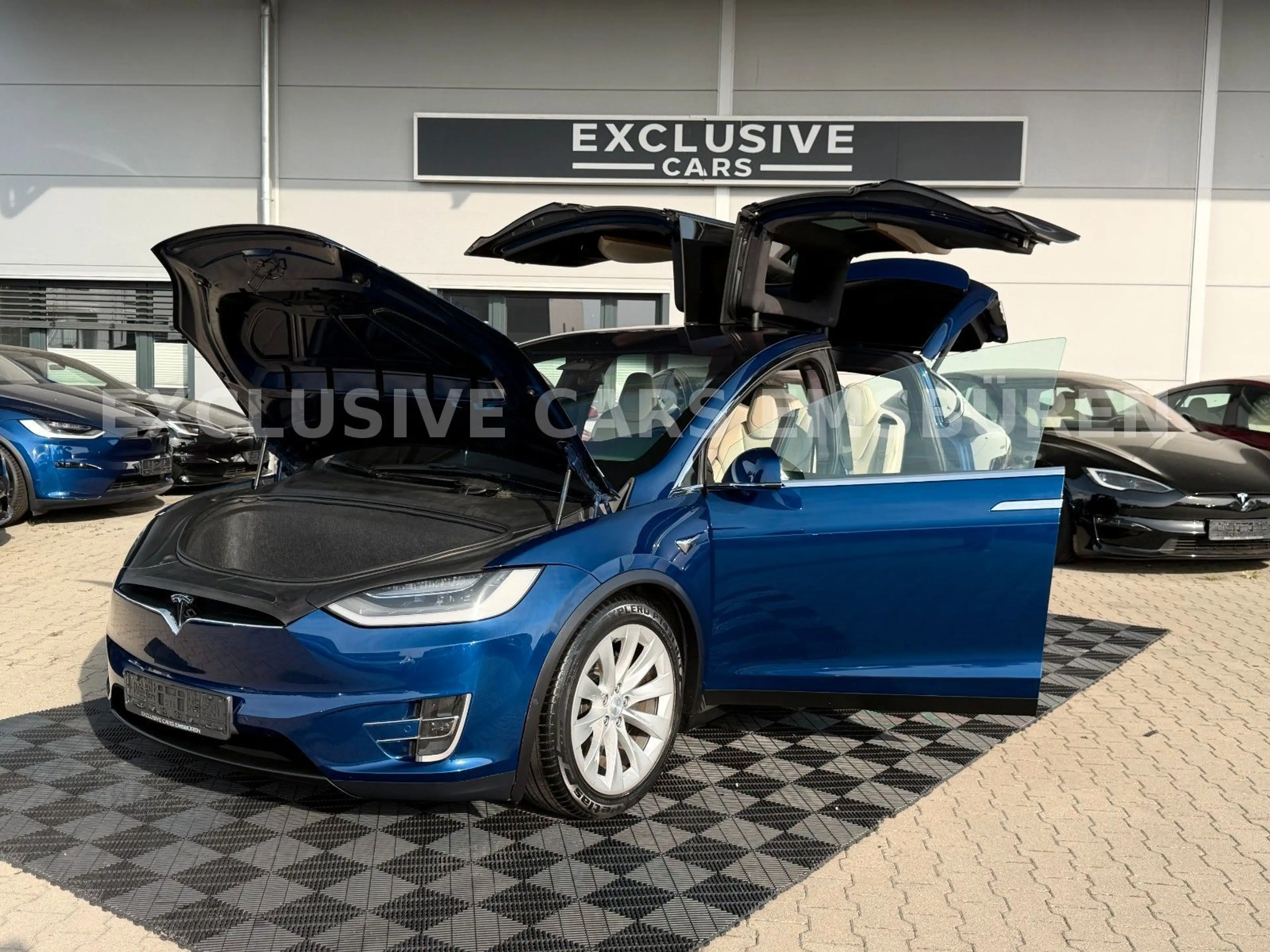 Tesla Model X MODEL X LONG RAVEN LONG RANGE | CCS | 1. Hand — photo 12