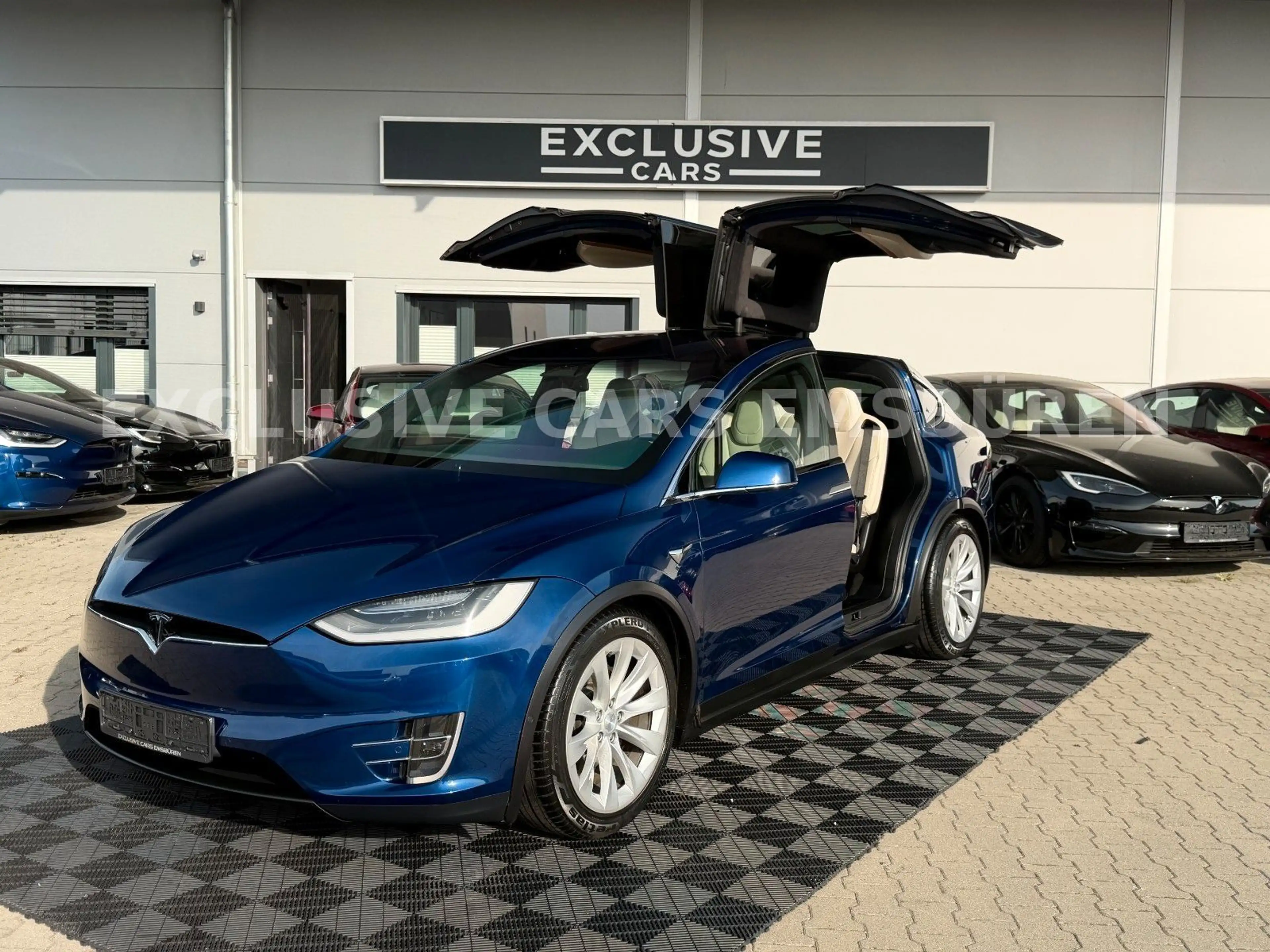 Tesla Model X MODEL X LONG RAVEN LONG RANGE | CCS | 1. Hand — photo 10