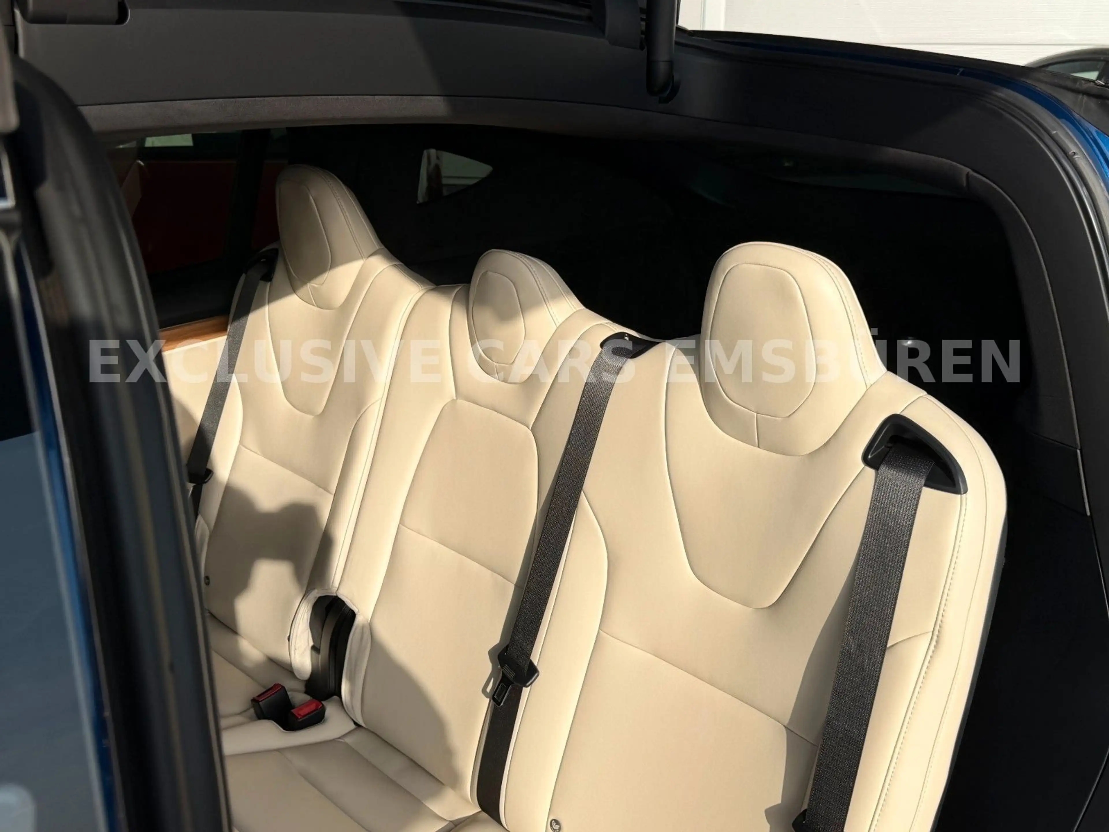 Tesla Model X MODEL X LONG RAVEN LONG RANGE | CCS | 1. Hand — photo 15