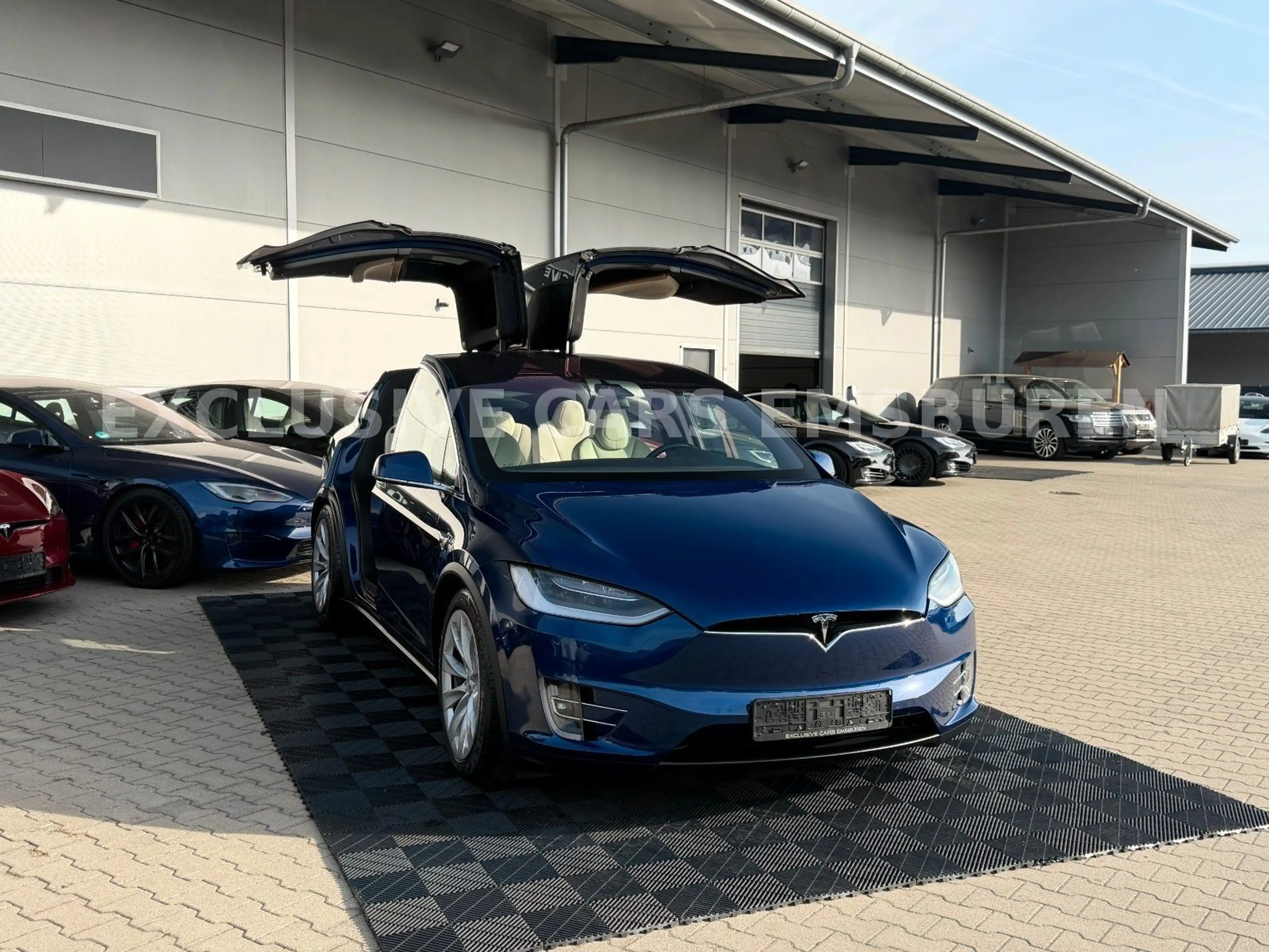 Tesla Model X MODEL X LONG RAVEN LONG RANGE | CCS | 1. Hand — photo 11