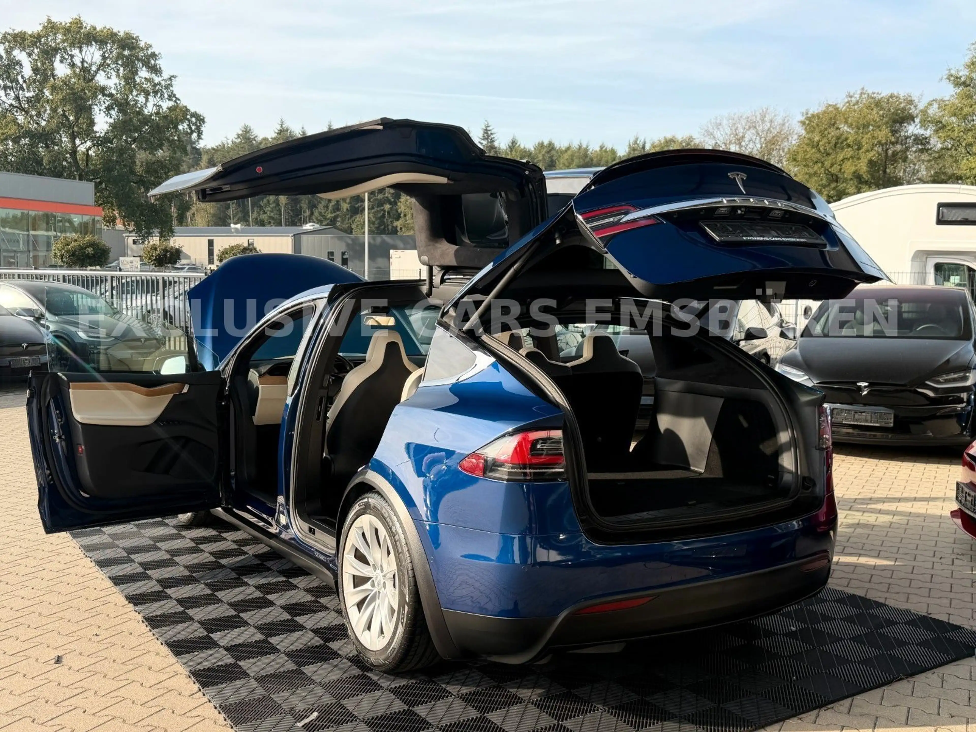 Tesla Model X MODEL X LONG RAVEN LONG RANGE | CCS | 1. Hand — photo 14