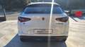 Alfa Romeo Stelvio 2.2 Turbodiesel 210 CV AT8 Q4 B-Tech N°FZ640 Bianco - thumbnail 6