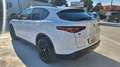 Alfa Romeo Stelvio 2.2 Turbodiesel 210 CV AT8 Q4 B-Tech N°FZ640 Bianco - thumbnail 7