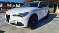 Alfa Romeo Stelvio 2.2 Turbodiesel 210 CV AT8 Q4 B-Tech N°FZ640 Bianco - thumbnail 9