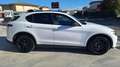 Alfa Romeo Stelvio 2.2 Turbodiesel 210 CV AT8 Q4 B-Tech N°FZ640 Bianco - thumbnail 3