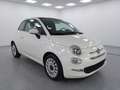 Fiat 500 500 1.0 hybrid Dolcevita 70cv Blanc - thumbnail 1