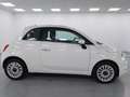 Fiat 500 500 1.0 hybrid Dolcevita 70cv Blanc - thumbnail 2