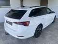 Skoda Octavia Combi 2,0 TDI DSG-LED-AHV-NAVI-ACC-VIRTUAL-ALUB... Weiß - thumbnail 6