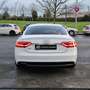 Audi A5 Coupé 2.0TDI Weiß - thumbnail 5