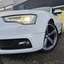 Audi A5 Coupé 2.0TDI Weiß - thumbnail 15