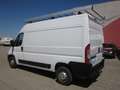Fiat Ducato 250 Weiß - thumbnail 3