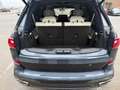 BMW Sonstige X7 M50 i PANO SKY LOUNGE LASER TV NIGHT VIS. 22" Grau - thumbnail 5