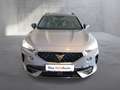 CUPRA Formentor VZ 2.0 TSI 310 PS DSG 4Drive Grau - thumbnail 7