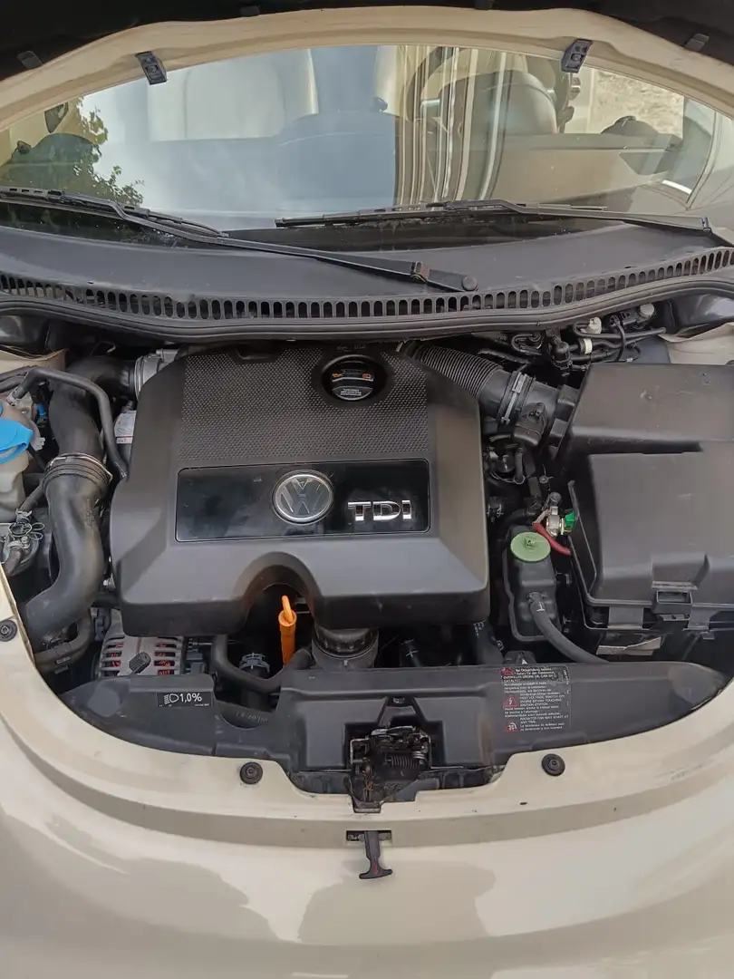 Volkswagen New Beetle Cabrio 1.9 tdi 105cv - 1
