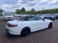 Mercedes-Benz E 220 d Cabrio AMG-SPORTPAKET/AIRSCARF/WIDESCREEN Weiß - thumbnail 28