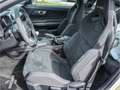 Ford Mustang SHELBY GT350 V8 5.2L GT 350 2016 - thumbnail 10