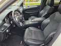 Mercedes-Benz ML 350 CDI BlueTec,AMG Sport Paket,SD, Weiß - thumbnail 19