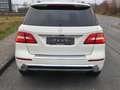 Mercedes-Benz ML 350 CDI BlueTec,AMG Sport Paket,SD, Weiß - thumbnail 14