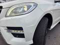 Mercedes-Benz ML 350 CDI BlueTec,AMG Sport Paket,SD, Weiß - thumbnail 16
